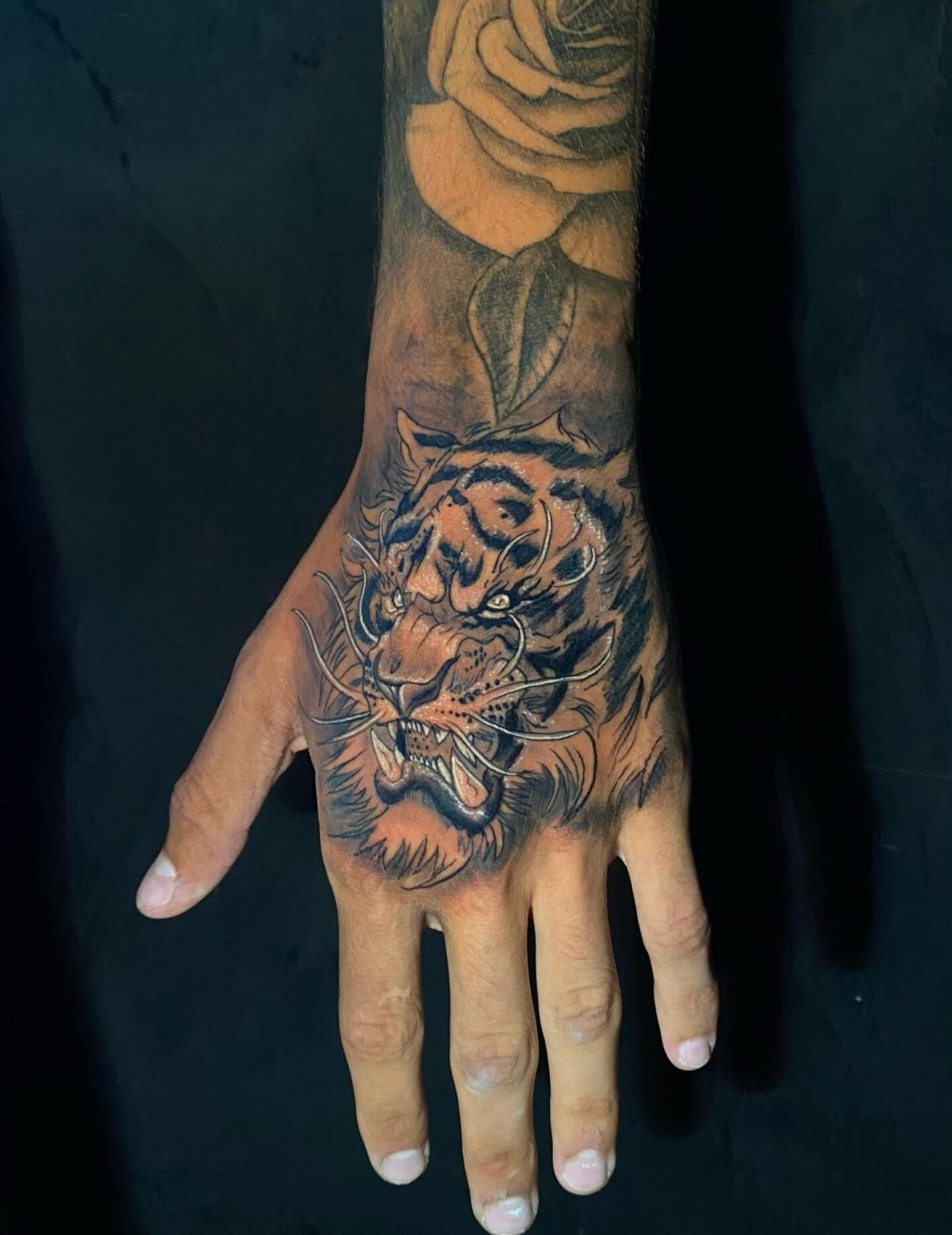 Imagem do WhatsApp de 2025-02-28 à(s) 01.57.22_690fddae